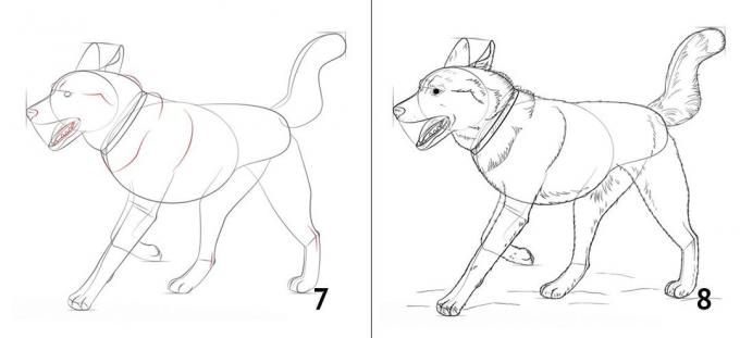 Comment dessiner un chien