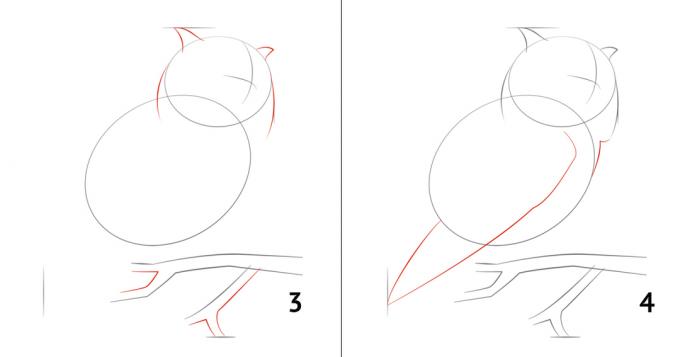 Comment dessiner un hibou