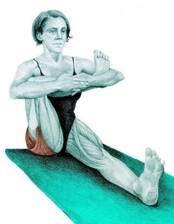 Anatomie d'étirement: posture demi-colombe assise