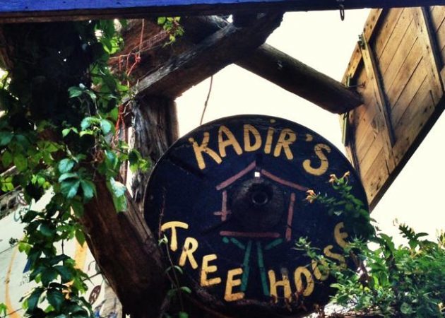 Tree House 2 Kadir