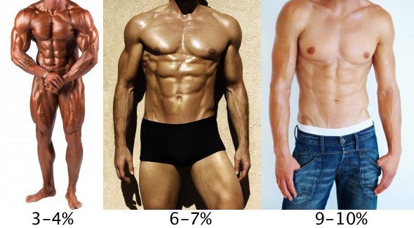 corps pourcentage de graisse pour les hommes