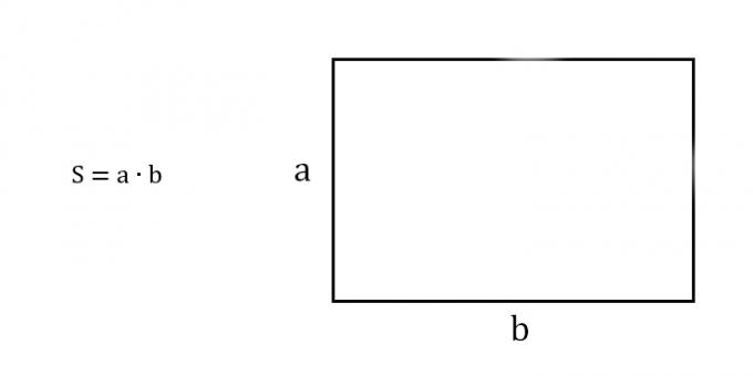 Comment trouver l'aire d'un rectangle connaissant deux côtés adjacents