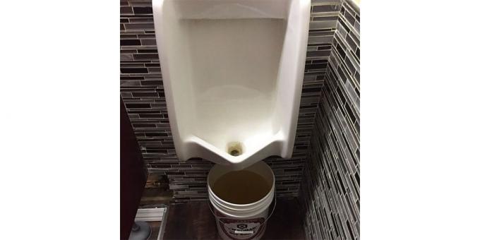 Conception de restaurants: urinoirs dans les toilettes
