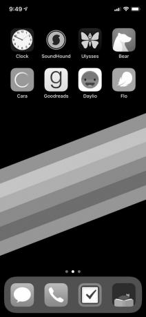 iPhone écran noir et blanc
