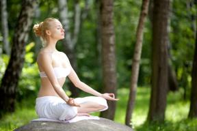 Guides sur les principales directions du yoga