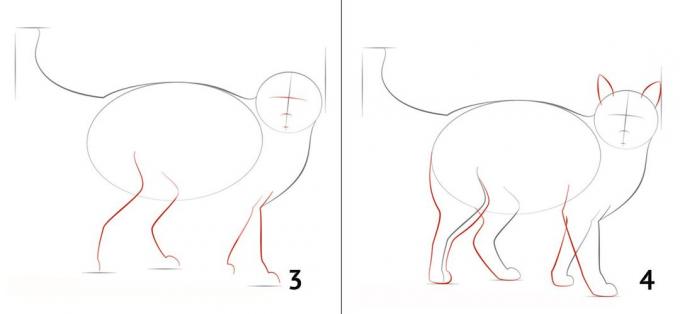 Comment dessiner un chat