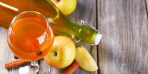 Comment faire du cidre de pomme dans la maison: la meilleure recette