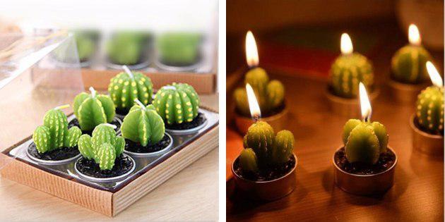 Bougies, cactus