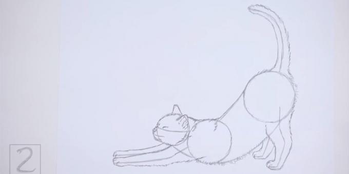 Dessiner shorstku le long du dos et le ventre d'un chat. peindre sur la queue