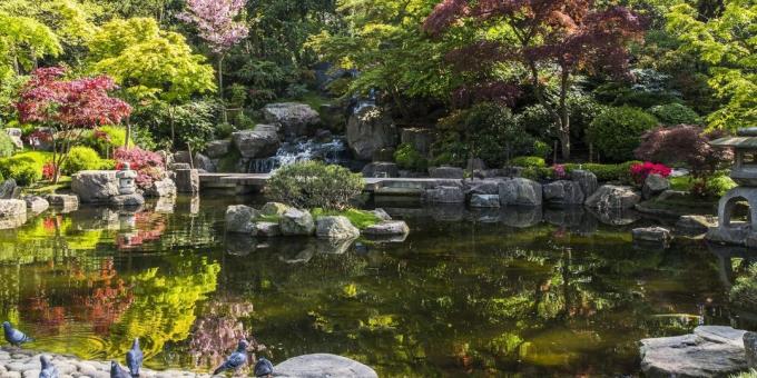 Que voir à Londres: Garden Kyoto japonaise à Holland Park