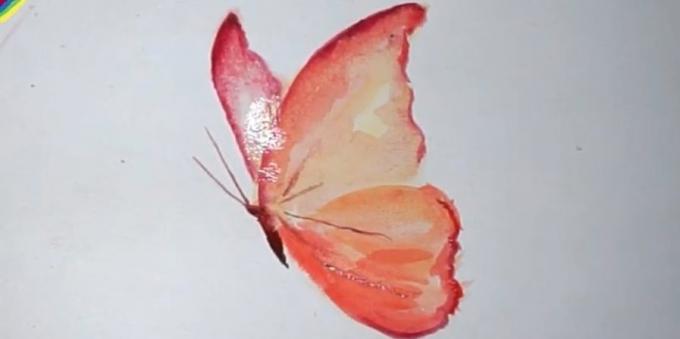 Comment dessiner un papillon couleurs réalistes