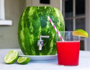 Comment faire un baril de melon d'eau avec distributeur et profiter de jus de fruits frais