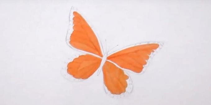 Dessiner des cercles sur les bords des ailes inférieures et un marqueur orange pour les détails de mettre en évidence