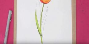 15 façons de dessiner de belles tulipes