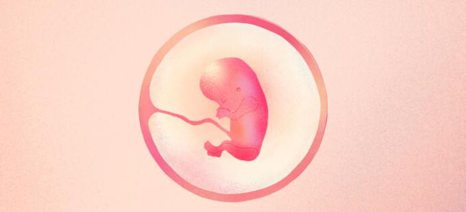 A quoi ressemble un bébé à 13 semaines de grossesse ?