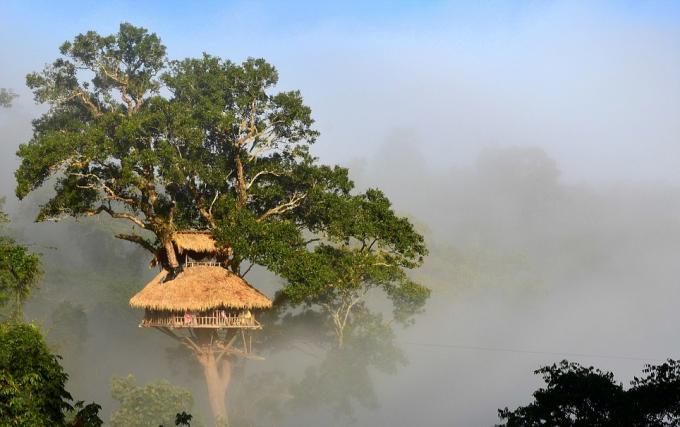 Bokeo Réserve naturelle, Laos