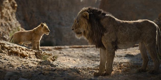 "Le Roi Lion": Simba et Scar