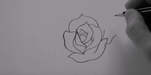 Comment dessiner une rose de 20 façons différentes