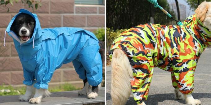 Produits pour promener le chien: imperméable