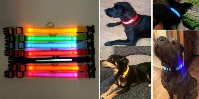 Produits pour promener le chien: collier lumineux