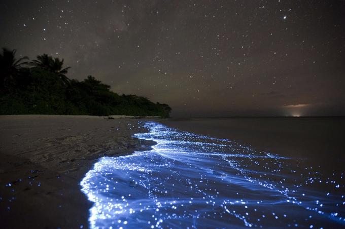 Bioluminescente Beach - Vaadhoo, Maldives meilleures plages