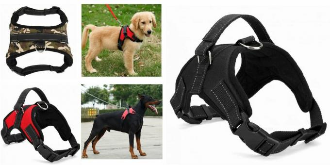 Produits pour promener le chien: harnais