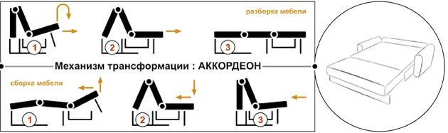 accordéon 