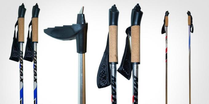 Comment choisir les skis et l'équipement: bâtons de ski