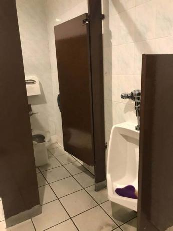conception de toilettes