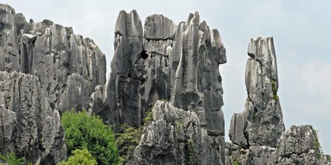 territoire asiatique attire les touristes en connaissance de cause: Shilin Forêt de pierre, Chine
