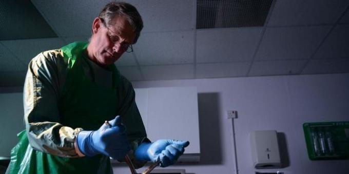médecin légiste Richard Shepherd pratique une autopsie