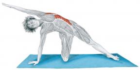 Anatomie d'étirement en images: exercices pour les muscles du corps