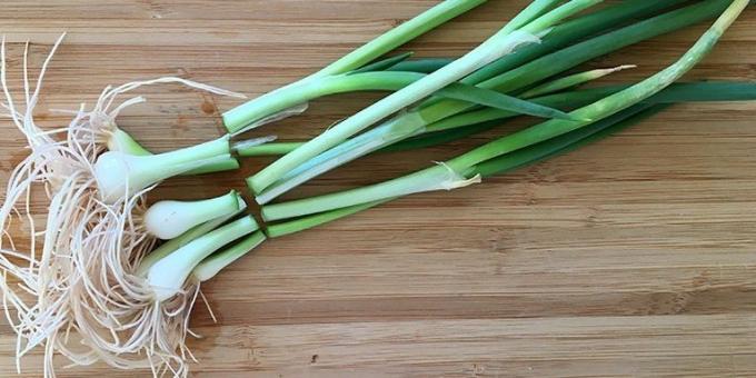 Comment faire pousser les oignons sur le rebord de la fenêtre: la plantation des cultures