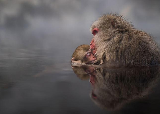Concours National Geographic Traveler photo 2016