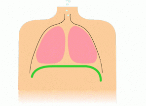 Pourquoi la respiration profonde est mieux pour votre santé que vous pensez