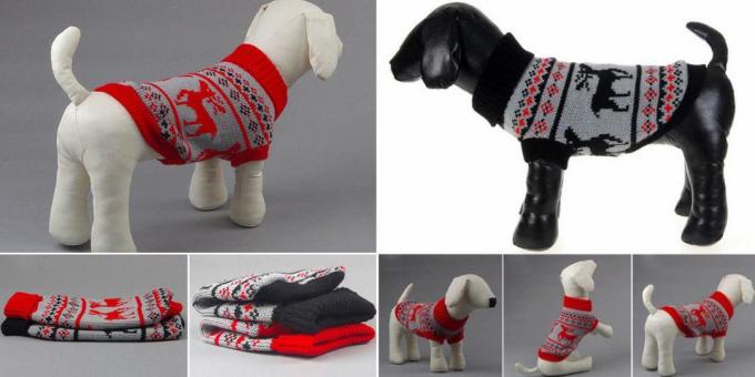 Pull pour chiens
