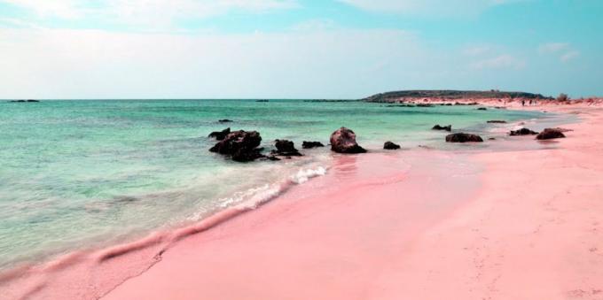 Étonnamment bel endroit: une plage rose en Sardaigne, Italie