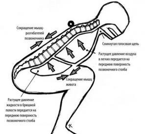 Comment respirer correctement pendant les exercices de force