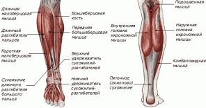 VIDEO: 4 exercices pour prévenir l'inflammation du périoste