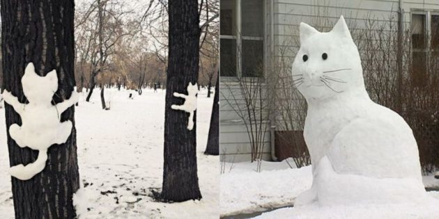 Figure de la neige: Cat