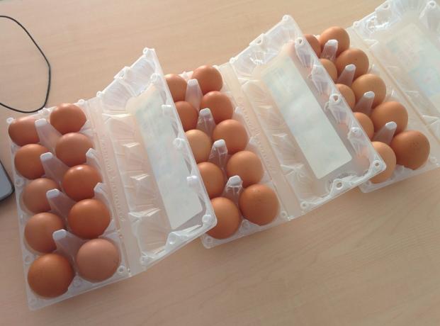 Qu'est-ce plus rentable d'acheter des œufs