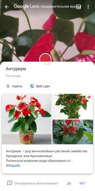 5 applications mobiles, capables de reconnaître les plantes d'intérieur