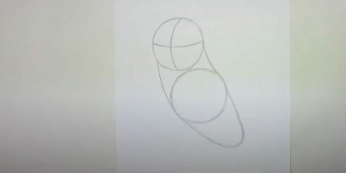 Comment dessiner un hibou: décrivez le corps, la poitrine et le cou