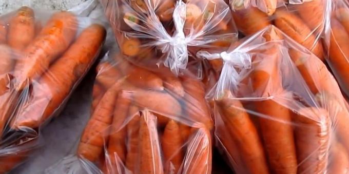 Comment stocker les carottes dans des sacs: carottes dans des sacs en plastique et de les attacher correctement
