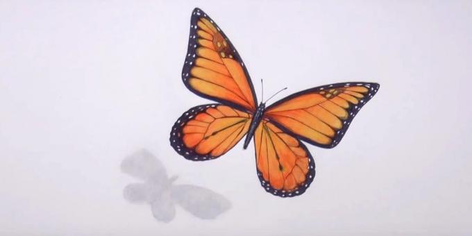 Effacer croquis au crayon et la couleur noire motif papillon tweak