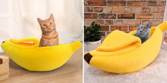 Maison en forme de banane