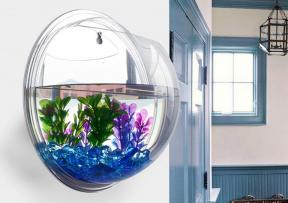 Trouvé AliExpress: aquarium mural, amical perforateur et la batterie externe de Xiaomi