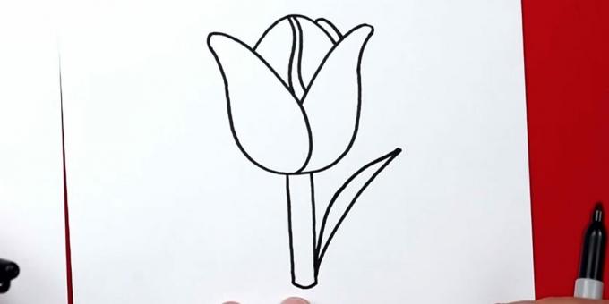 Comment dessiner une tulipe: commencez à dessiner la bonne feuille