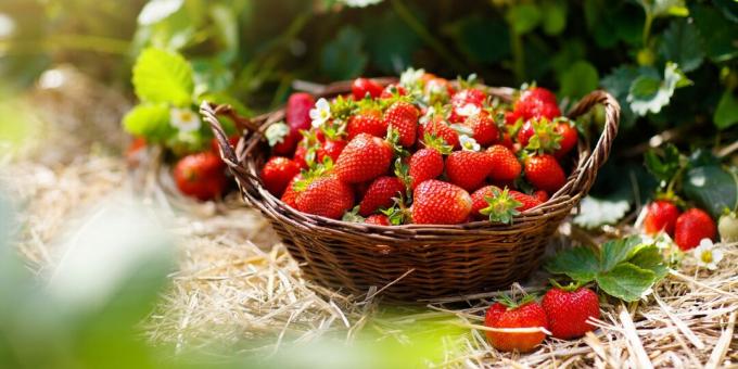 Produits saisonniers: fraise
