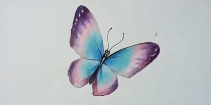 Ajouter plus des ailes de papillon violet couleurs saturées